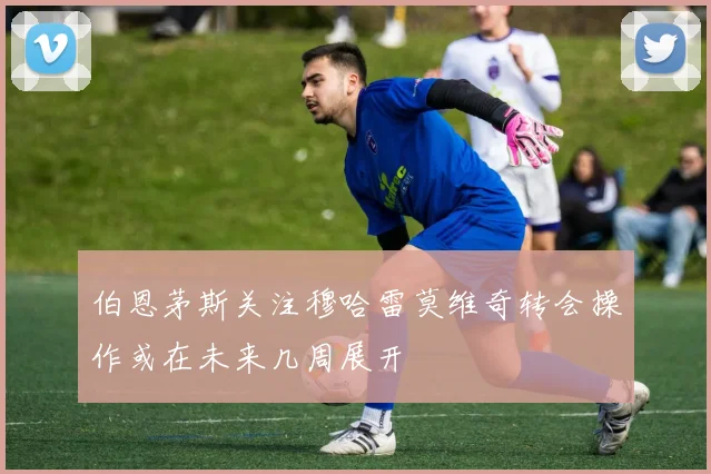 伯恩茅斯关注穆哈雷莫维奇转会操作或在未来几周展开