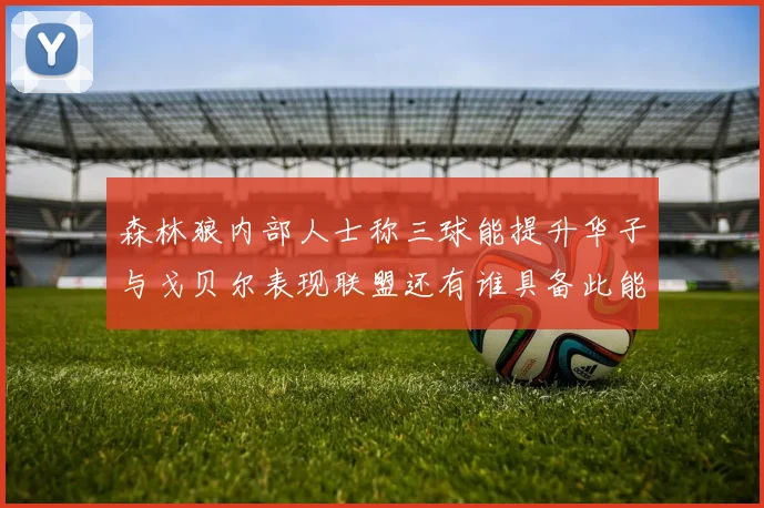 森林狼内部人士称三球能提升华子与戈贝尔表现联盟还有谁具备此能力